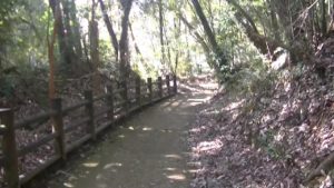 宮崎県都城市にある関之尾滝周辺の遊歩道２